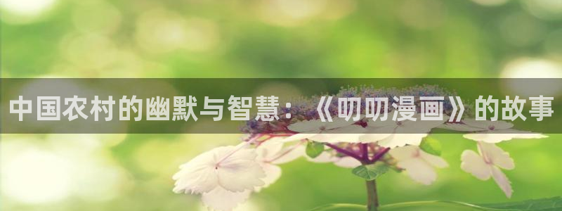 拷贝漫画加载不出来：中国农村的幽默与智慧：《叨叨漫画》的故事