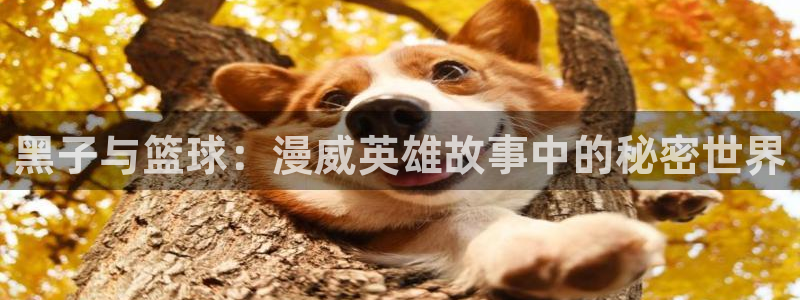 拷贝 漫画网页版：黑子与篮球：漫威英雄故事中的秘密世界